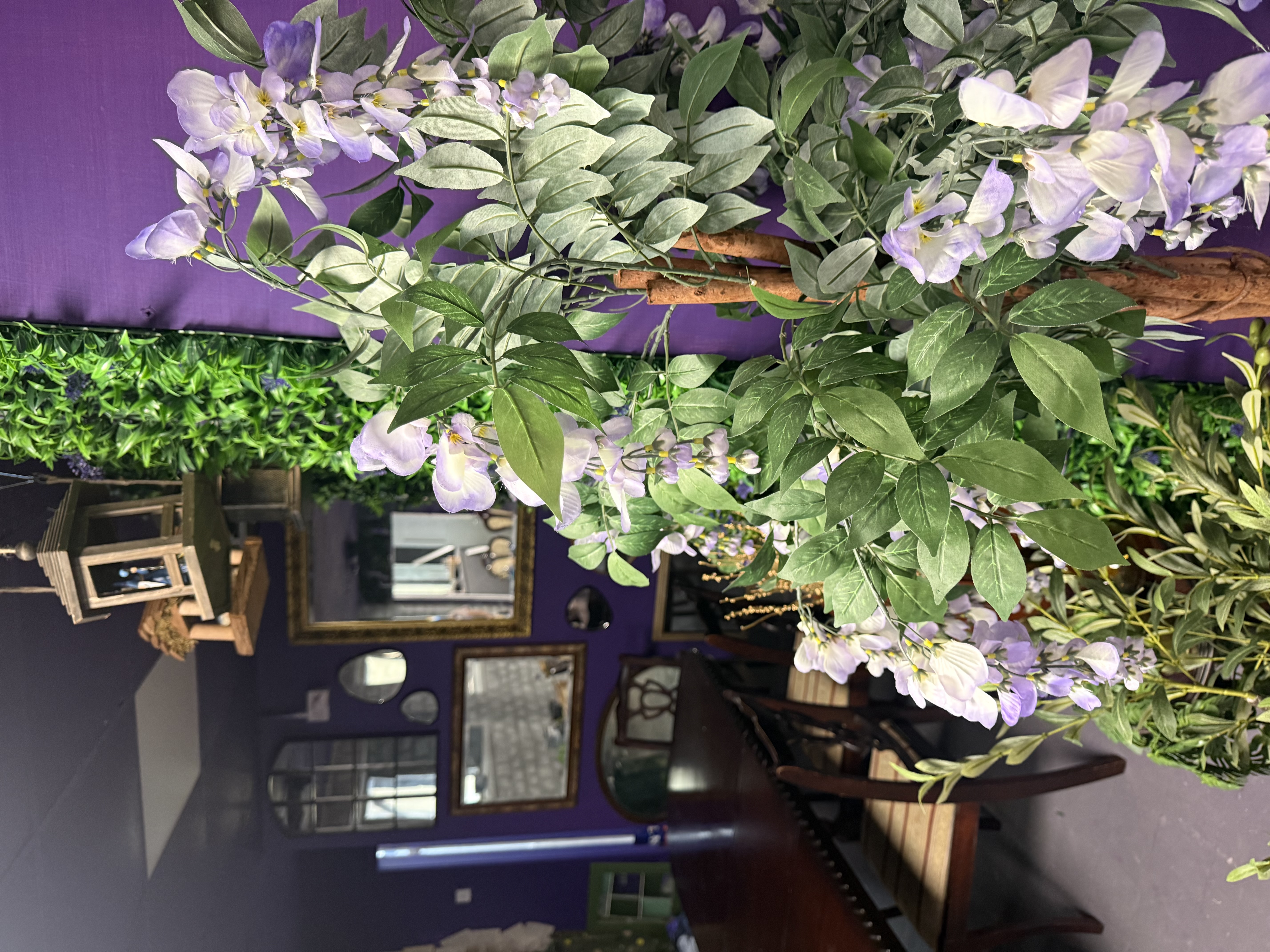 The Garden Room: tables and chairs beneath trailing wisteria and mirrors on a deep purple wall
